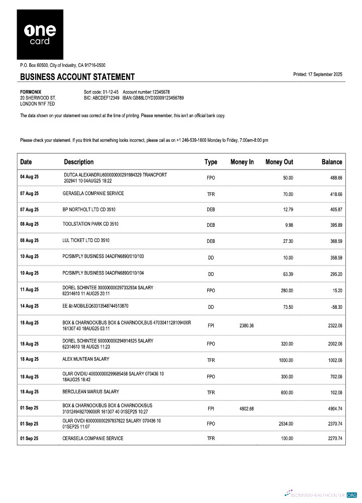 Download USA 1One Card enterprise statement Word and PDF template Photoshop template
